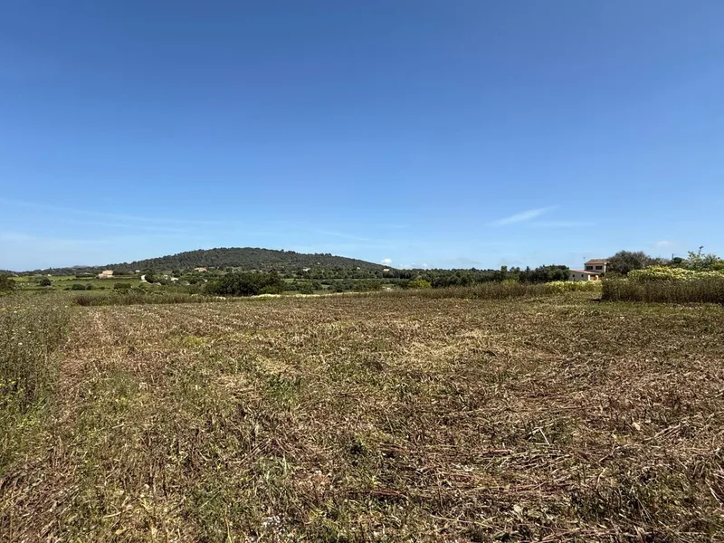 Rustic finca with project and building permits — photo 9