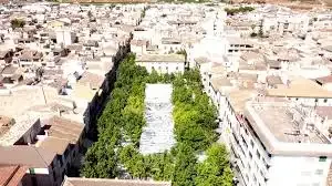 Developable Land in Sa Pobla: Nature and Future — photo 11