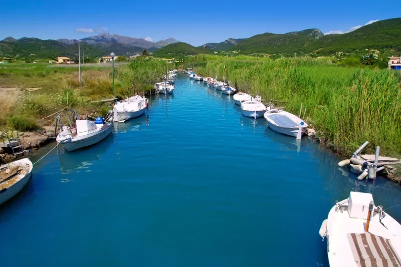 Mallorca Next Properties - Plot 60,000m2 with project for house of total 575m2 — photo 4