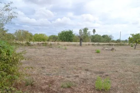 Rustic property - Campanet, Built Surface 20m², Plot Surface 4316m², 1 Room — photo 7