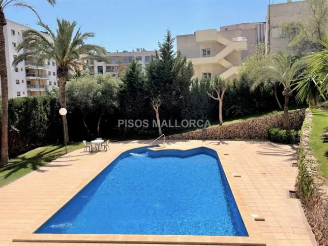 Apartment in Palma de Mallorca, Colegios Area — photo 2