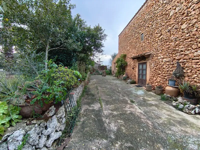 Discover this charming agricultural estate of four cuarteradas, located in a privileged setting with stunning views of the Tramuntana — photo 4