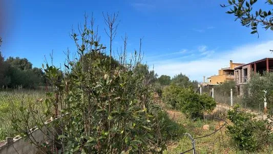 Building Site - Marratxí (Pòrtol), Plot Surface 978m² — photo 1