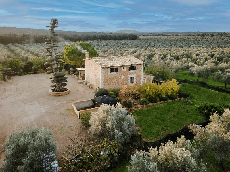Rustic estate to renovate with farmland in Sencelles — photo 2