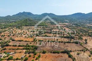 Ref. PRO230 – Spacious plot with project for a modern finca with various building volumes, floor-to-ceiling windows, garage, patio and pool in an idyllic neighborhood with excellent connectivity between Es Carritxo and Felanitx — photo 7