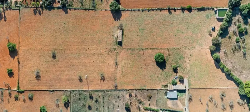 Finca of 24,823 m2 in Búger, currently with 337 m2 built, divided into 217 m2 of house with stables, a 60 m2 building, 147 m2 — photo 3