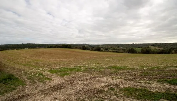 Plot in Ariany — photo 1