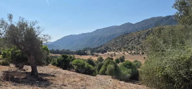 Urbanizable land - Bunyola — photo 9