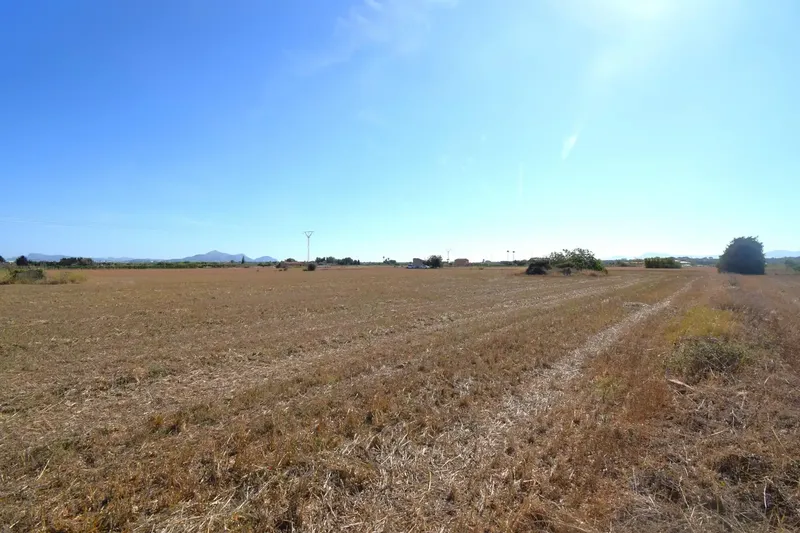 Set of two plots totaling 15,324 m² with possibility of building a house in Muro. Located approximately 5 km from the beach — photo 2