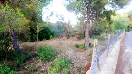 Finca in Mal Pas — photo 2