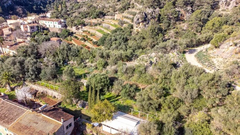 Land in Esporles, Province of Balearic Islands — photo 5
