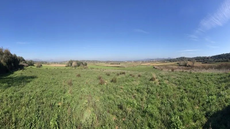 Beautiful plot in Petra with beautiful panoramic views of the Tramuntana mountains — photo 1