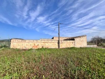 Rustic property - Sa Pobla (Pobla (Sa)), Built Surface 97m², Plot Surface 9153m², 1 Room — photo 9