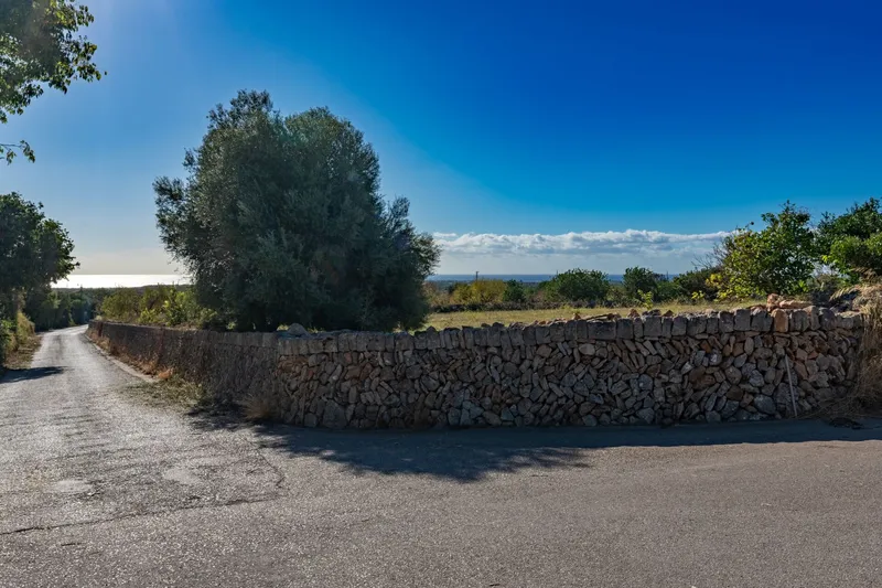 Buildable plot near S'Horta with approved finca project and sea views — photo 6