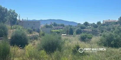 Real estate picture 0 Ref. No. 83761 — photo 4