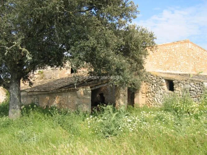 Renovation Project - Finca Manacor Mallorca for Sale — photo 10