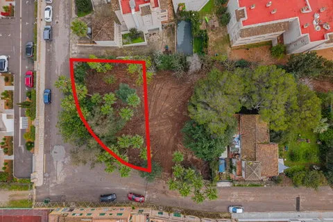 Land in Son Servera, Mallorca — photo 10
