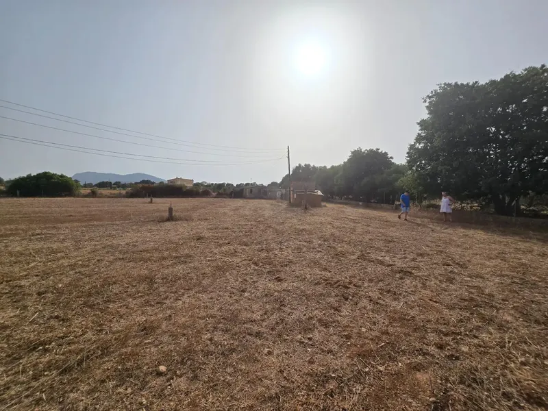 A blank canvas of almost 25,000 m2 in the center of Mallorca with its own well? Yes, it exists. — photo 9