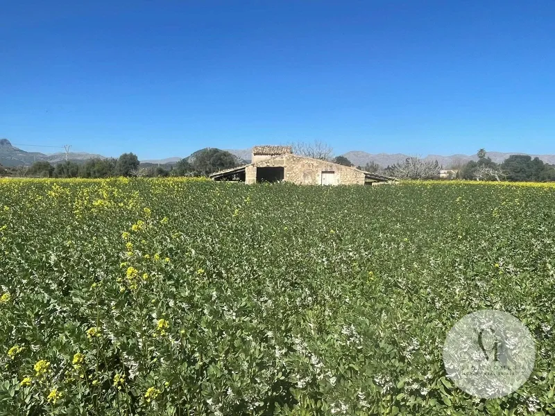 Exclusive Rustic Estate for Sale at C&M Fine Homes - A Haven of Tranquility in Alcúdia — photo 1