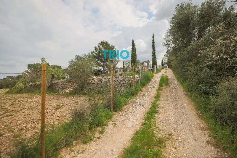 Discover the charm of rural life in Montuïri! We present this rustic finca to renovate, a peaceful refuge with a strategic location near the town center. — photo 7