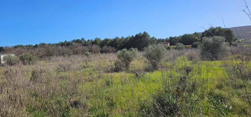 Plot in Santa Maria — photo 6