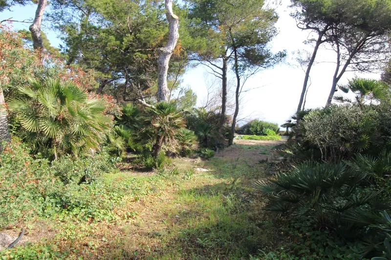Building plot in first sea line in Cala Ratjada — photo 6
