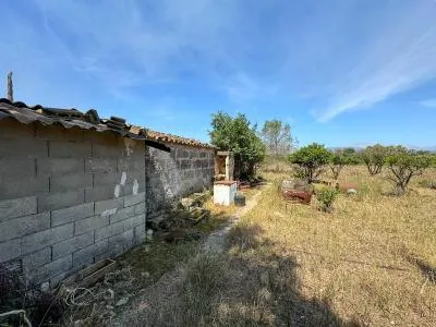 Rustic property in Llubí with 257 m² built and 7,527 m² plot, 1 room — photo 3