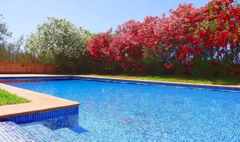 Pool finca on approx. 20,000 m2 large plot between Felanitx and Campos — photo 8