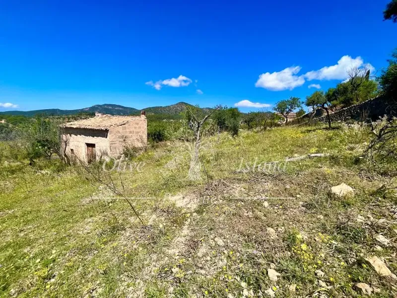 Land in Alaro, Mallorca — photo 3