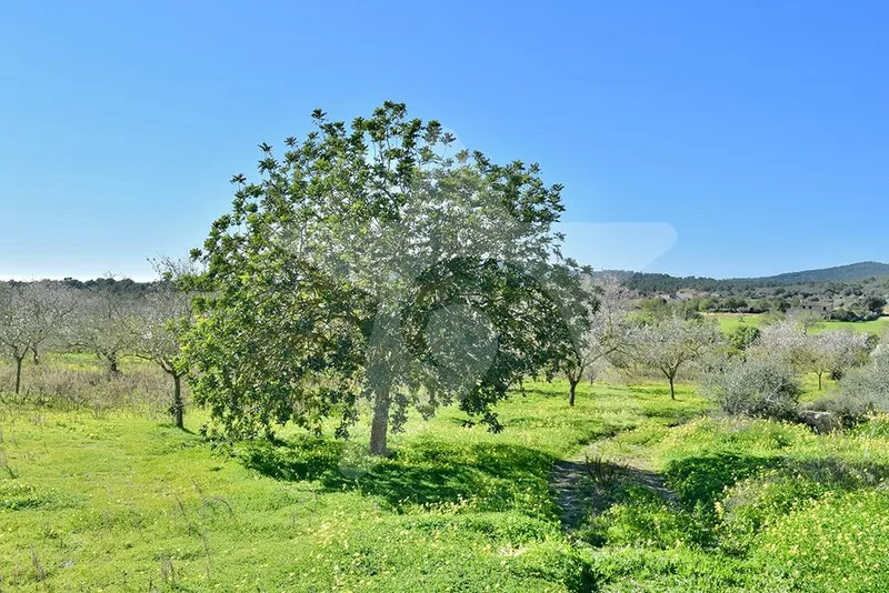 Building plot in a great location — photo 7
