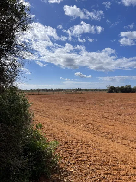 Country house between Campos and Sa Rapita to renovate — photo 10