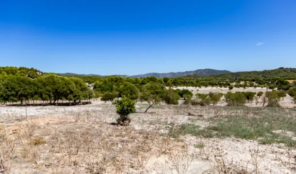 Ideal finca to be converted in a hotel in Calvia — photo 10