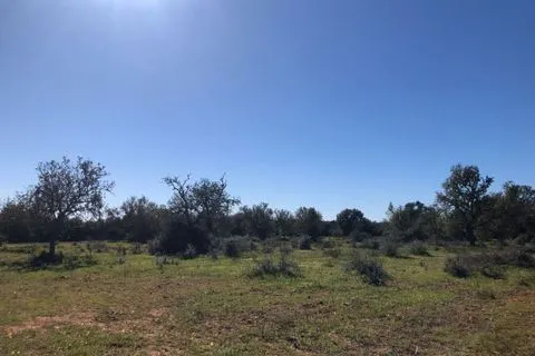 Land in Porreres, Mallorca — photo 3