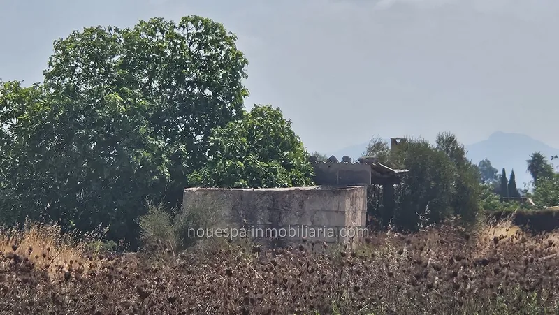 Rustic estate for sale in Muro, in the Son Mieres area — photo 2