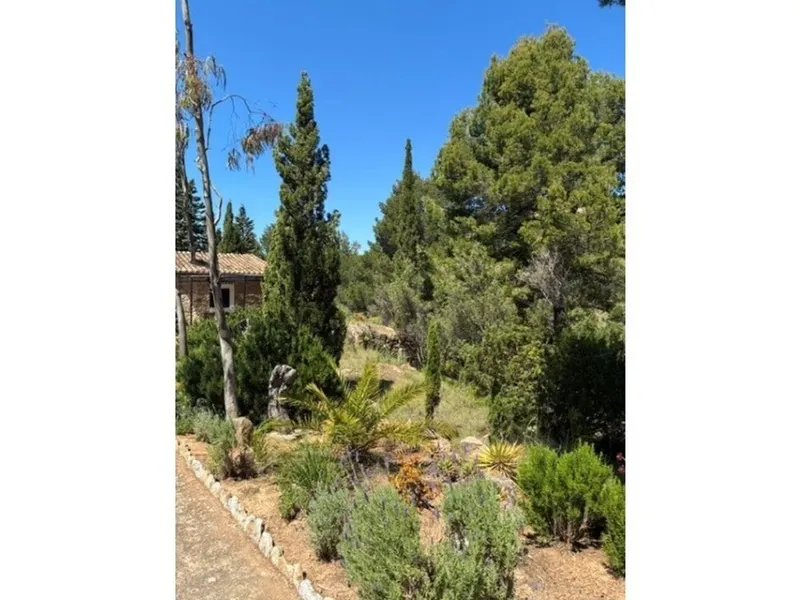 Villa in Estellencs, Province of Balearic Islands — photo 3