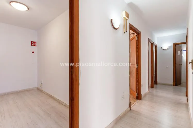 Apartment in Palma de Mallorca, Foners Area — photo 9