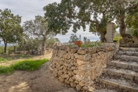 Country house — photo 8
