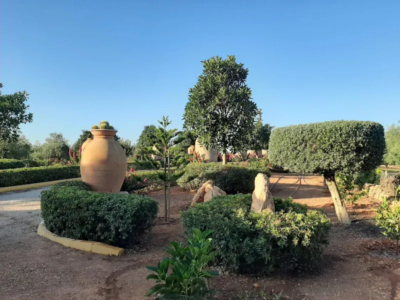 Exclusive property in Sencelles - plot with olive grove and tourist license ETV — photo 2
