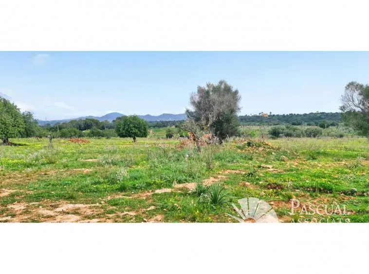 Rural Plot for Sale in S’Illot-Cala Morlanda — photo 8