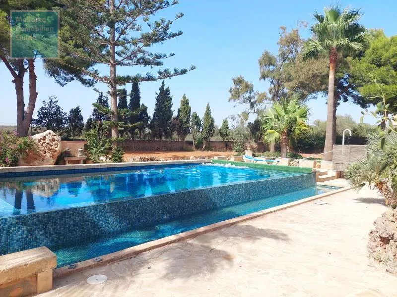 Campos, large finca with warehouses near Es Trenc beach — photo 2