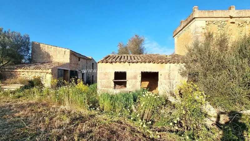Finca to renovate in quiet area between Santanyí and Campos — photo 3