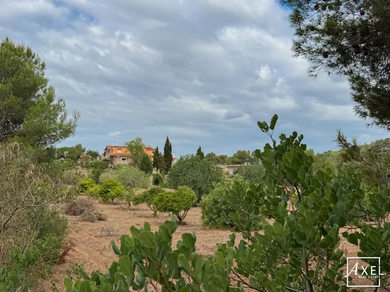 Luxury home in Manacor, Province of Balearic Islands — photo 2
