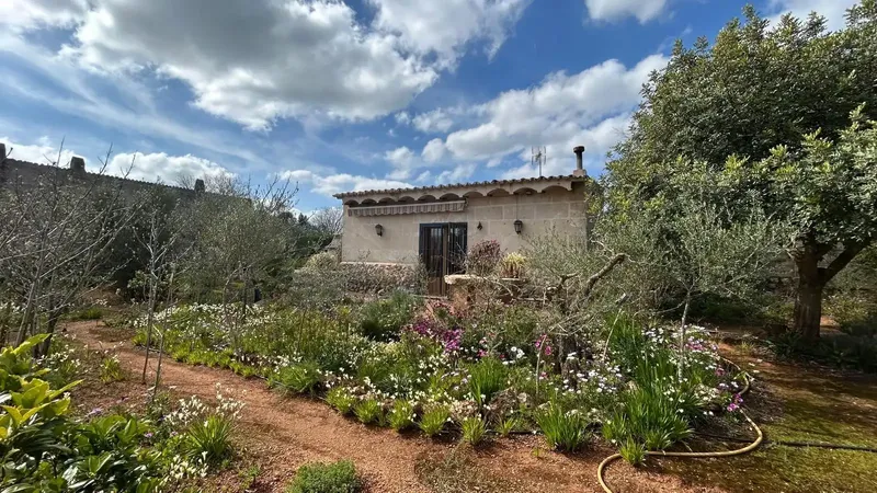 Charming rustic estate with dwelling and Mediterranean garden in Alaró — photo 3