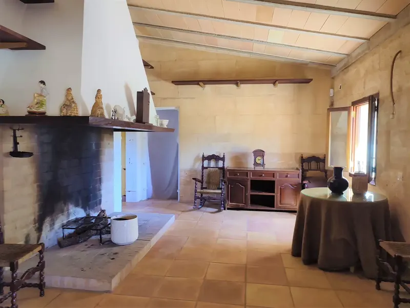 Rustic estate for sale in the municipality of Manacor, Ribera area, between Vilafranca de Bonany and Felanitx, with a total of approximately 7,281 m2. — photo 8