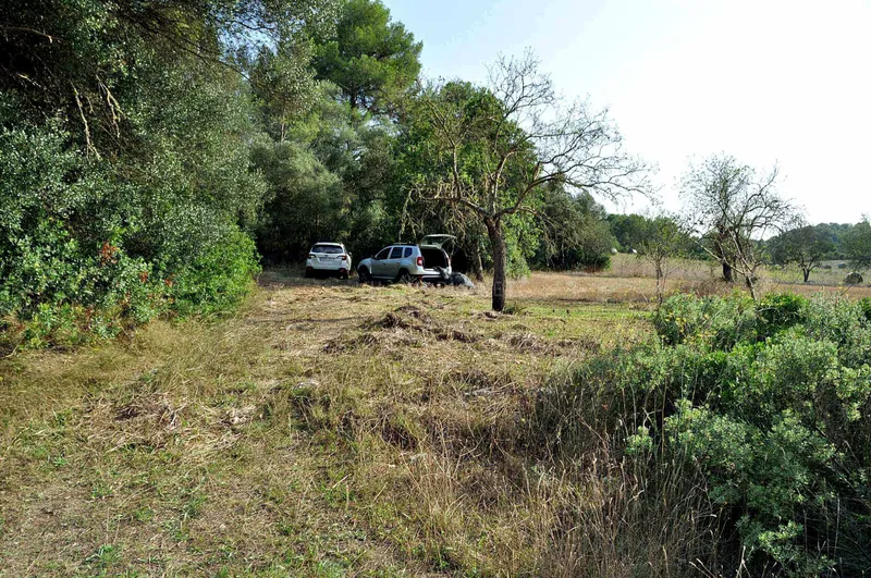 Rustic Land-plot In Sa... — photo 5