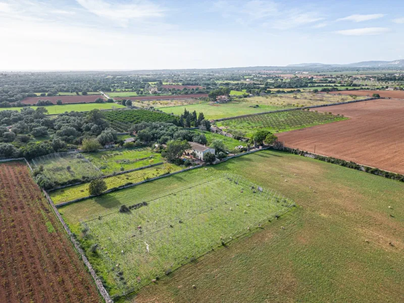 Magnificent rustic estate in the Porreres area — photo 4