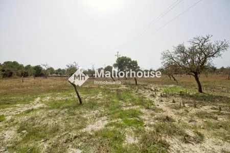 Rural Land - Santa Margalida, Plot Surface 14310 m², Distance to the Sea 6 km — photo 1
