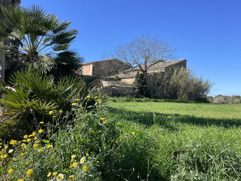 Journey back in time to the 16th century – historic finca in Campos — photo 5