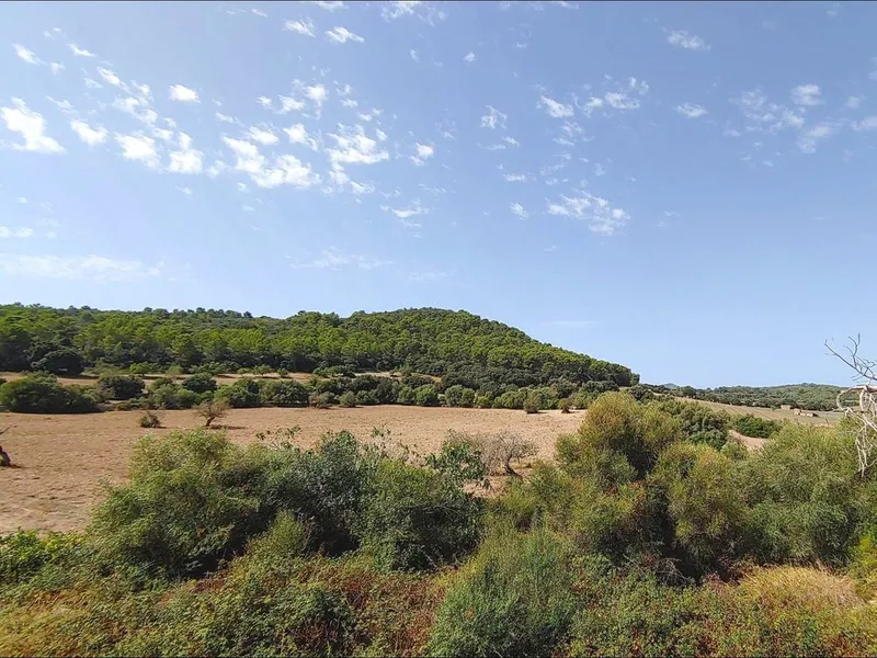 Farmhouse in Algaida, Province of Balearic Islands — photo 10