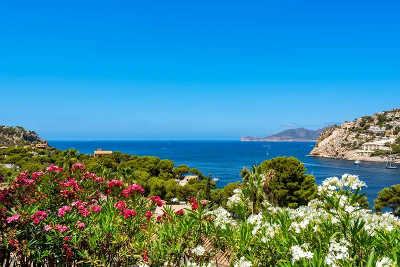 Modern Mediterranean villa with panoramic views of the sea, the harbor and the mountains — photo 7